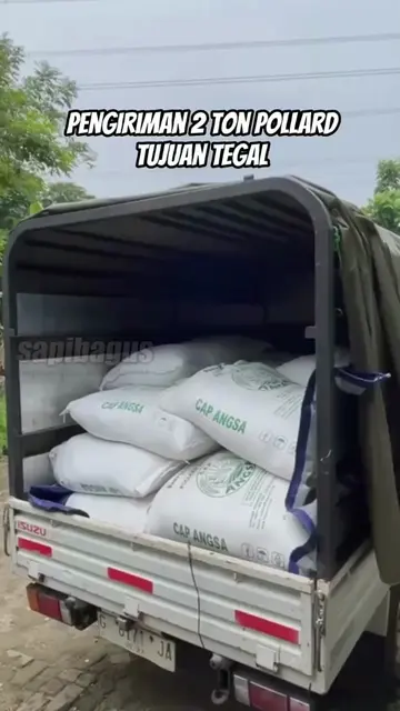 Pengiriman-2-Ton-Pollard-Tujuan-Tegal